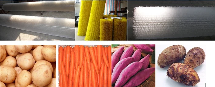 automatic vegetable washing machine automatic vegetable washing machine